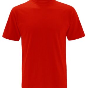 pe t shirt - woodside primary
